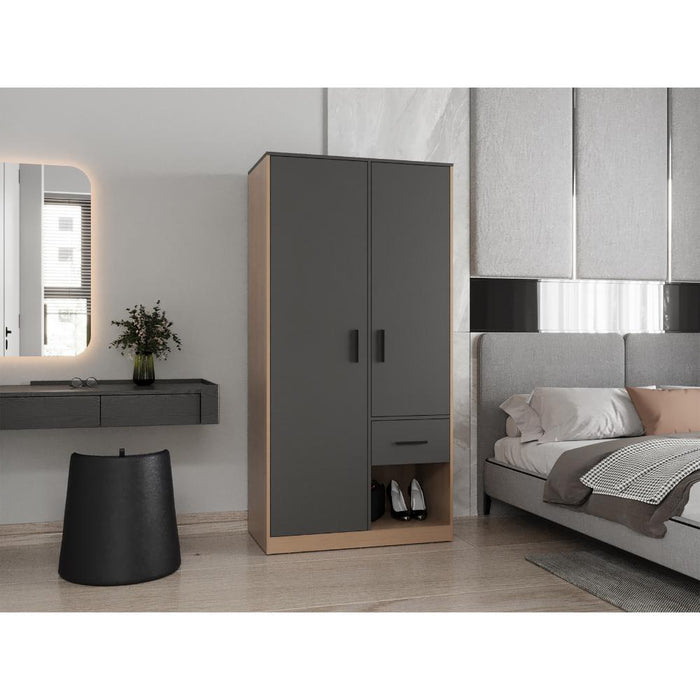 Closet Ader, Plata Oscuro y Fresno Europeo, de Dos Puertas ZF