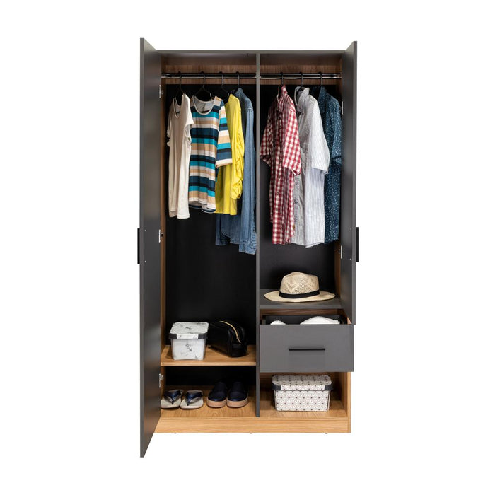 Closet Ader, Plata Oscuro y Fresno Europeo, de Dos Puertas ZF