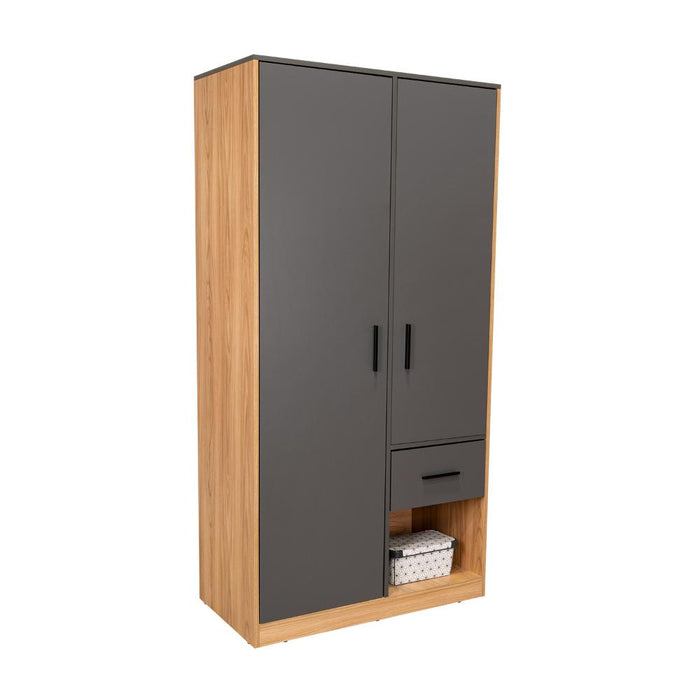 Closet Ader, Plata Oscuro y Fresno Europeo, de Dos Puertas ZF