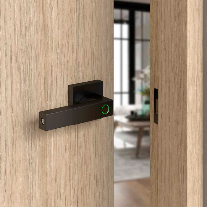 Cerradura digital inteligente palanca para entrada principal con 3 tipos de apertura