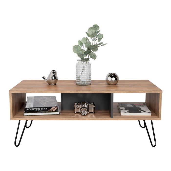 Mesa de Centro Lara, Fresno Europeo y Plata Oscuro, con Amplio Espacio y Patas de Acero