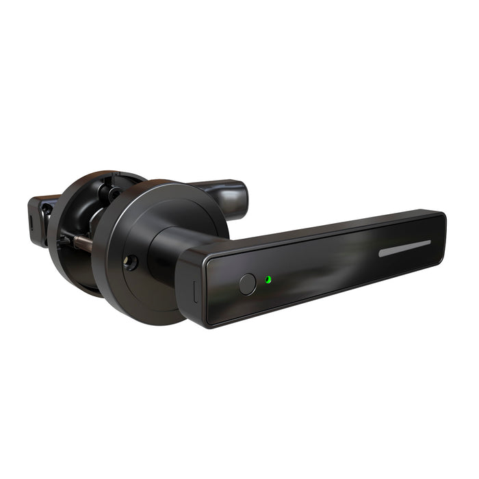 Cerradura chapa palanca digital inteligente para entrada principal con 4 formas de apertura