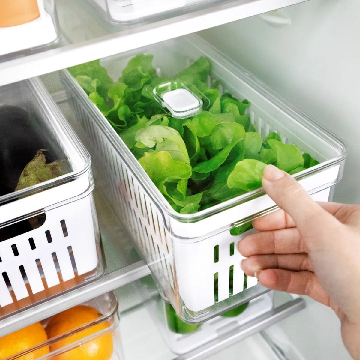 Kit de organizadores para nevera