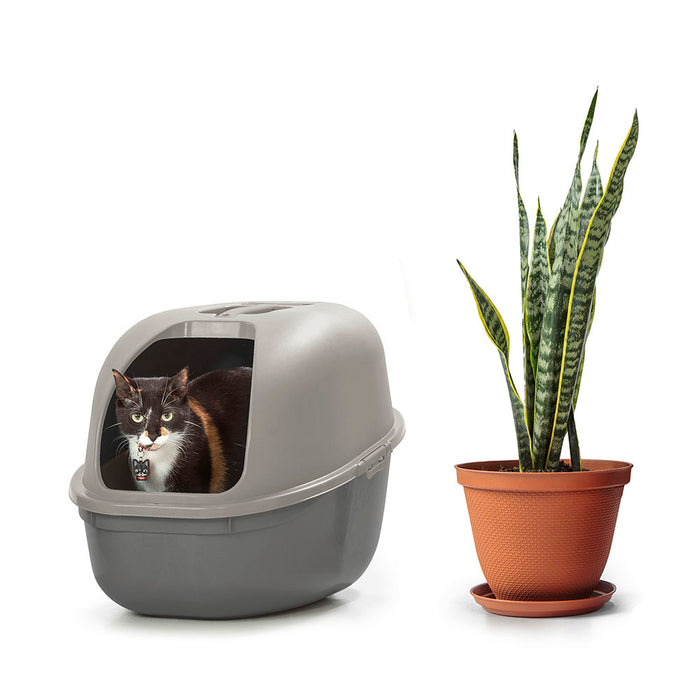 Arenero plástico  para gato marca Rimax