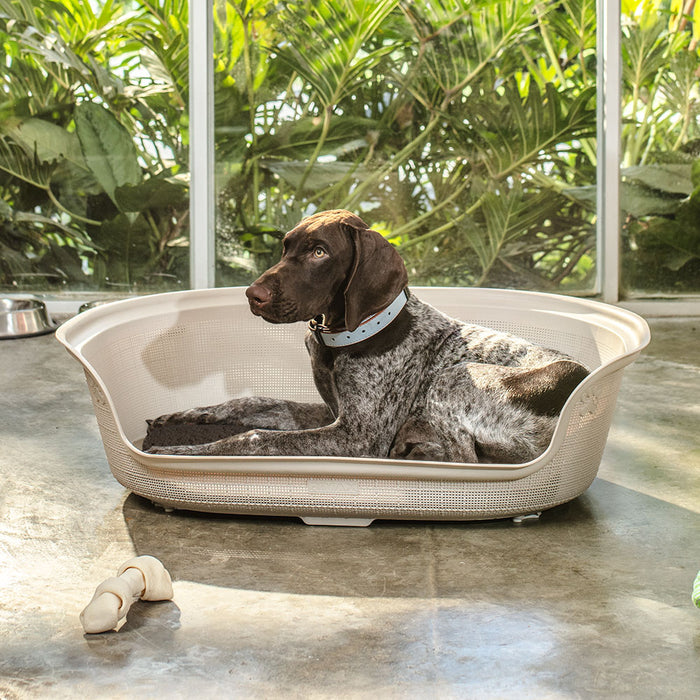 Cama para perro taupe marca Rimax