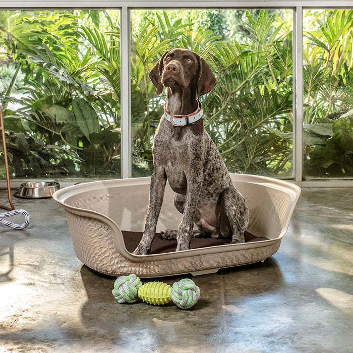Cama para perro taupe marca Rimax