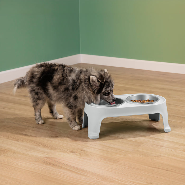 Comedero alto para perros small Rimax