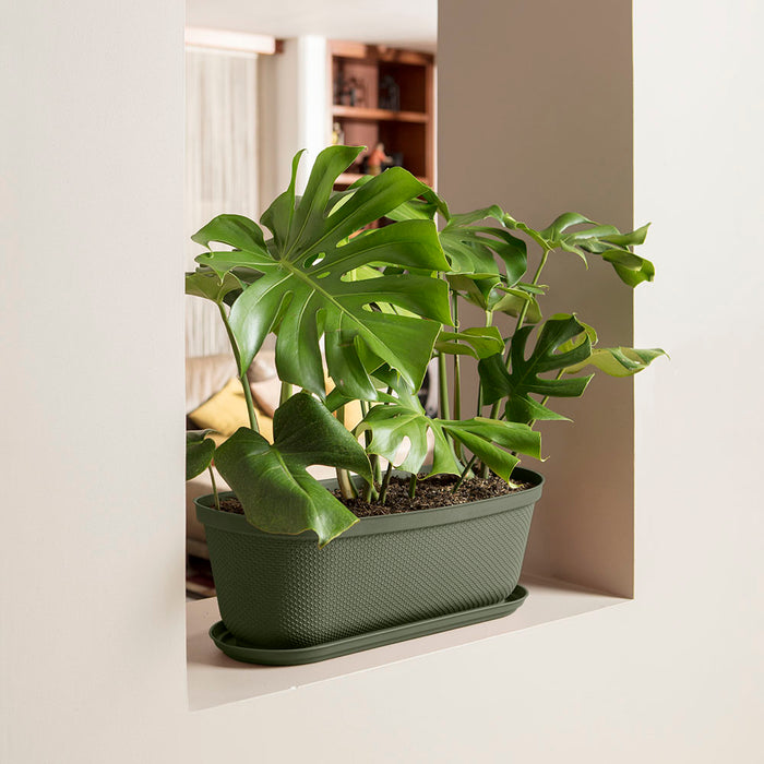 Matera moderna ovalada rafia 60 cm con plato verde musgo marca Rimax