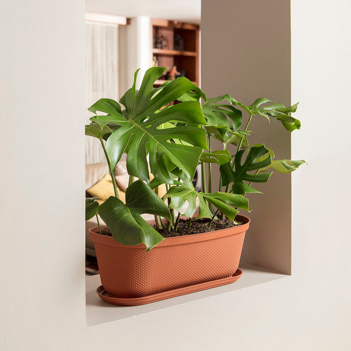 Matera moderna ovalada rafia 60 cm con plato Rimax