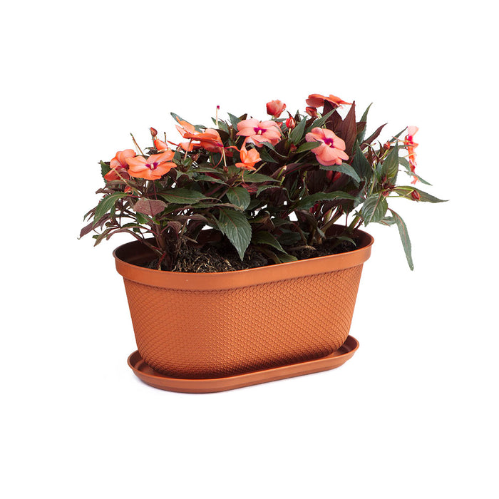 Matera ovalada rafia 40 cm con plato terracota marca Rimax