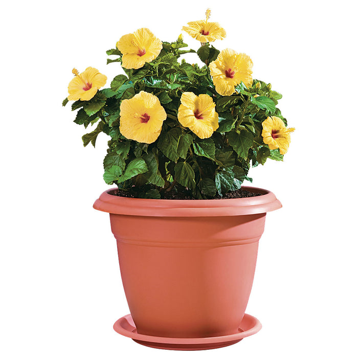Matera redonda 50 cm con plato Rimax