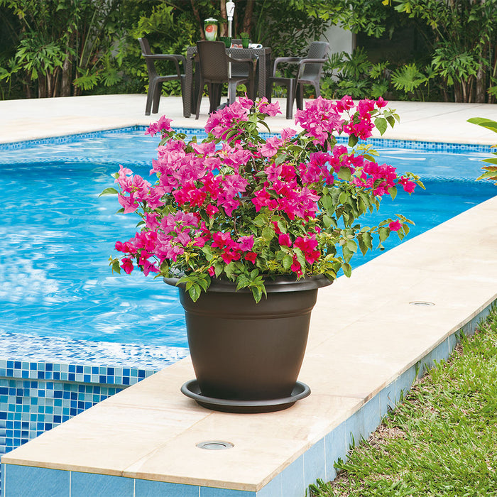 Matera redonda 50 cm con plato Rimax