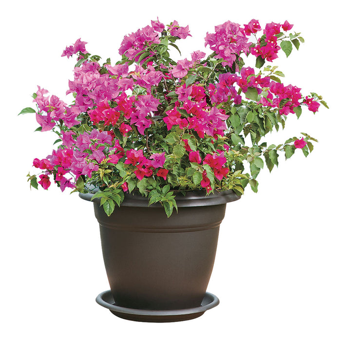 Matera redonda 50 cm wengue marca Rimax