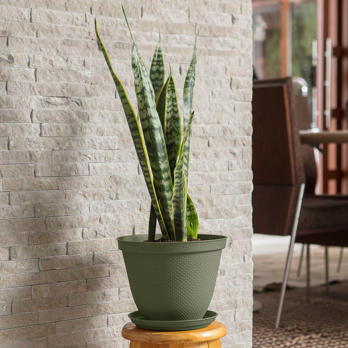 Matera redonda rafia 25 cm con plato verde musgo marca Rimax