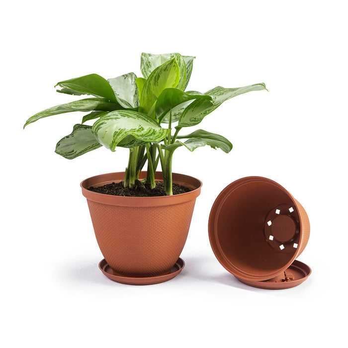 Matera redonda rafia 30 cm con plato terracota marca Rimax